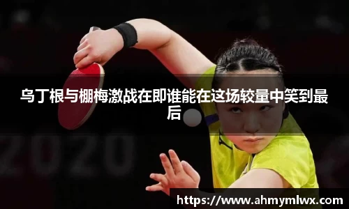 星空综合体育