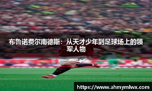 星空综合体育官方网站