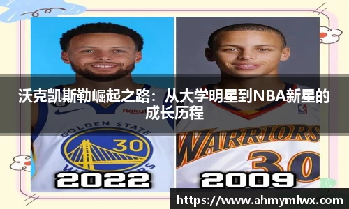 星空综合体育官网