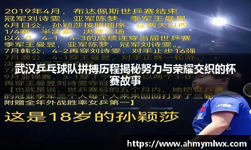 武汉乒乓球队拼搏历程揭秘努力与荣耀交织的杯赛故事