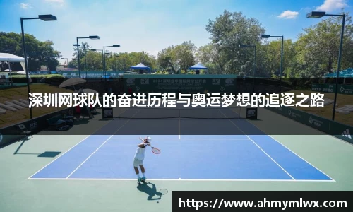 深圳网球队的奋进历程与奥运梦想的追逐之路