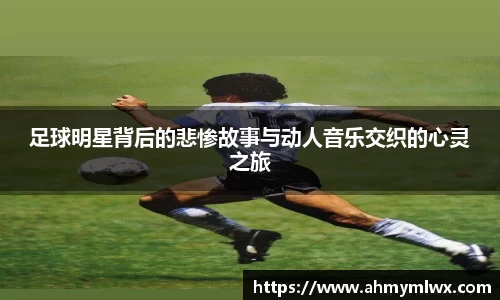 星空综合体育官网